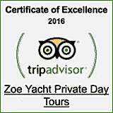 trip advisor award winner